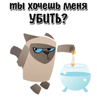 🐱
