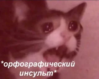 😫