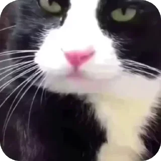 😛