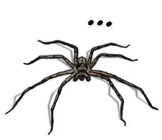 Spiders Time @stickersb2b
