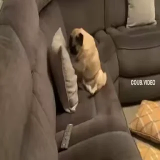 😡