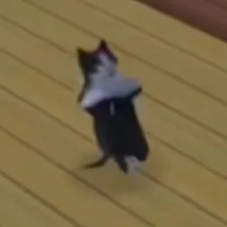 🕺