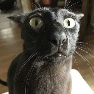 😨