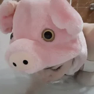 piggies | @snorovkaa