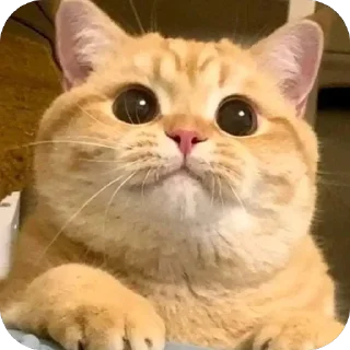 🥰