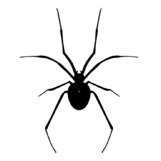 🕷