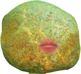 🗿
