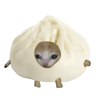 🥟