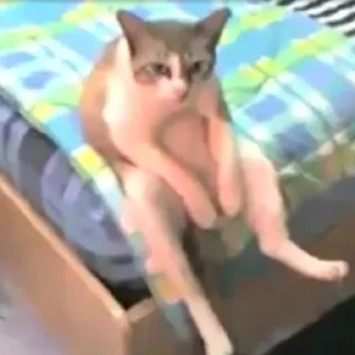 🤕