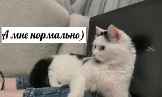 🤓