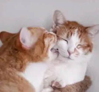 😘