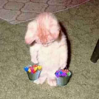 💜