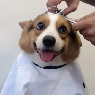 😁