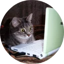 🐱