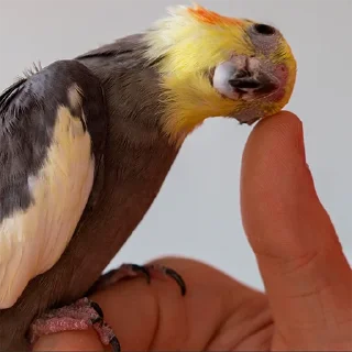 👍