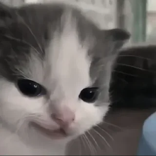 💜