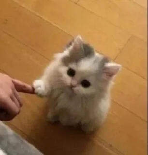 ❤️