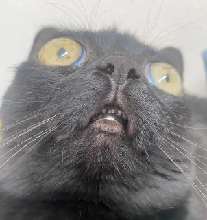 😱