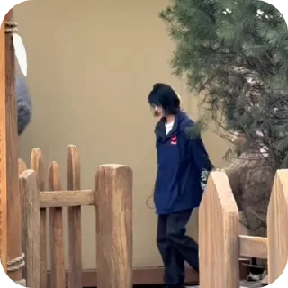 🧦