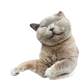 😆