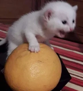 😖