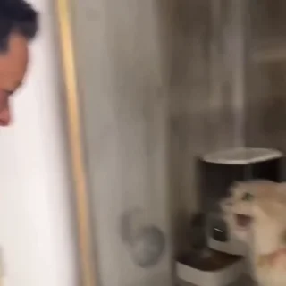 🤩