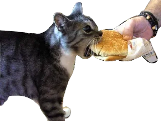 🍔