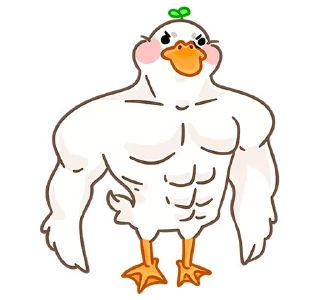 💪