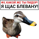 🦆