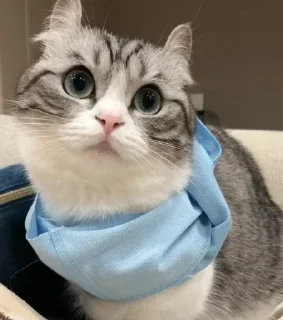 🥰