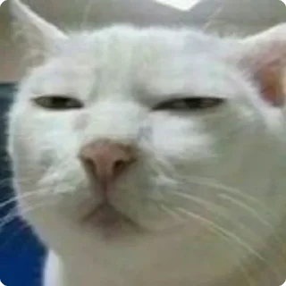😑