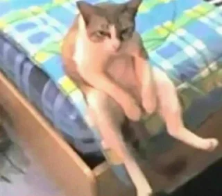 😒