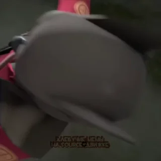 🦉