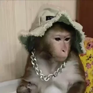 🌟