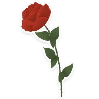 🌹