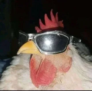 😎