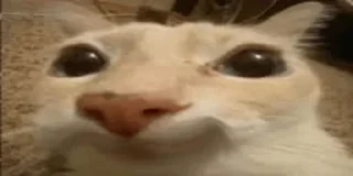 🙂
