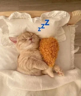 💤