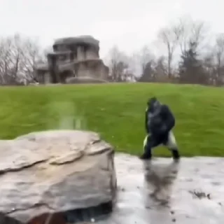 🦧