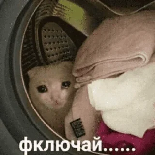 😺