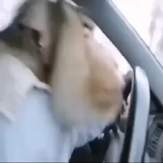 🚘