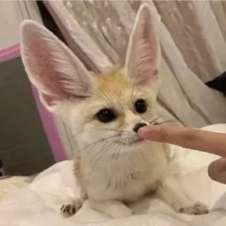 ☺️