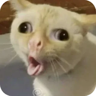 🤢