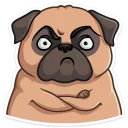 😠