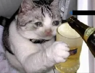 🍻