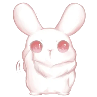 🐰