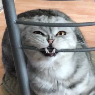 😬