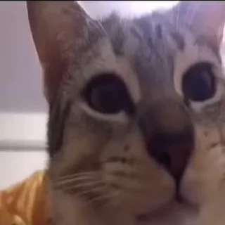 😦