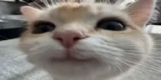 🙂