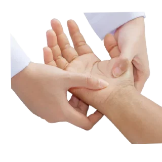 ✋